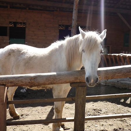 Xalet De Prades Apart otel Dış mekan fotoğraf