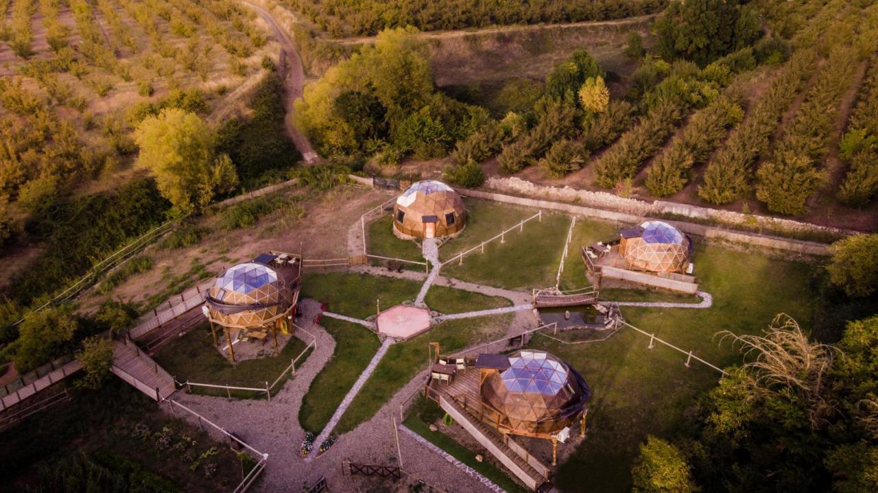 Xalet De Prades Apart otel Dış mekan fotoğraf
