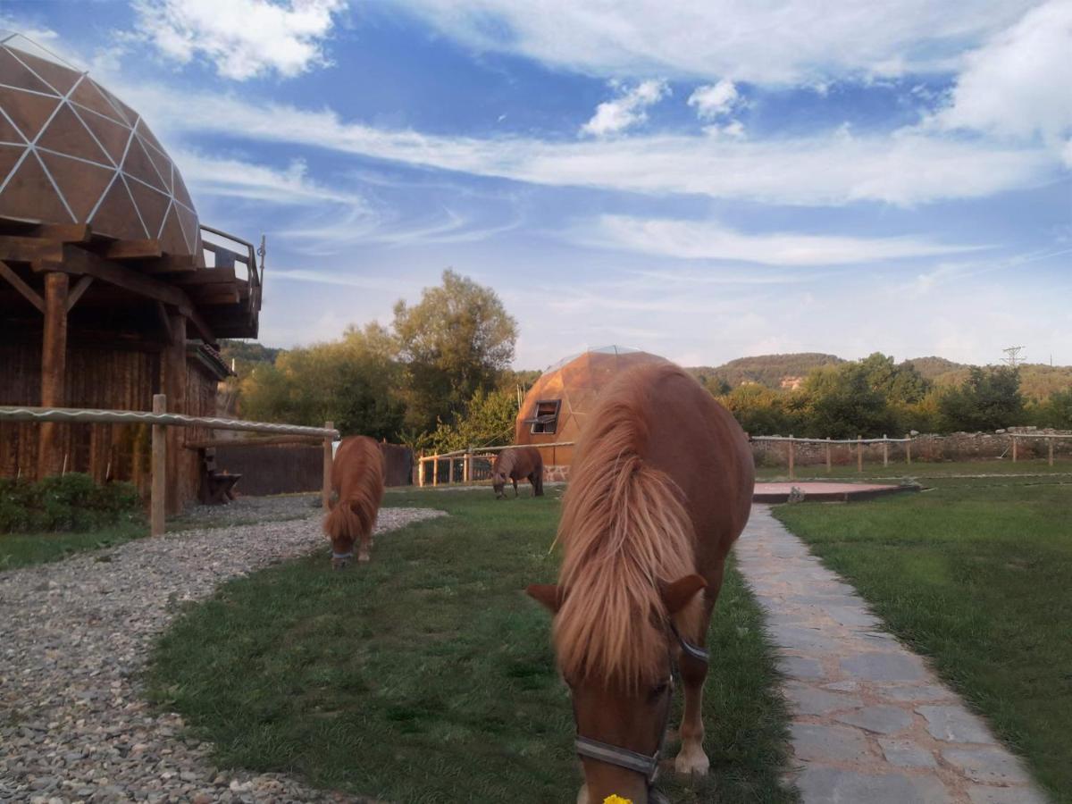 Xalet De Prades Apart otel Dış mekan fotoğraf