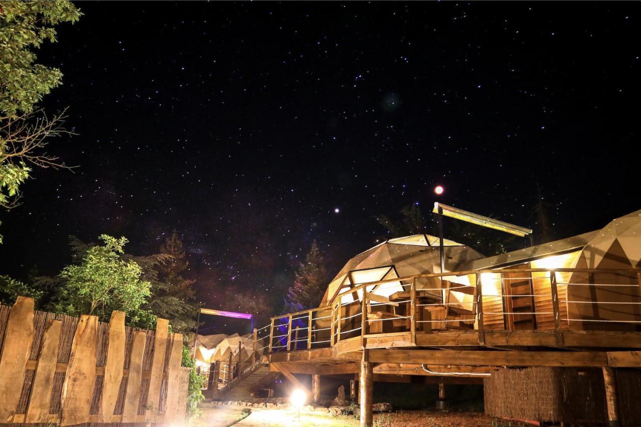 Xalet De Prades Apart otel Dış mekan fotoğraf