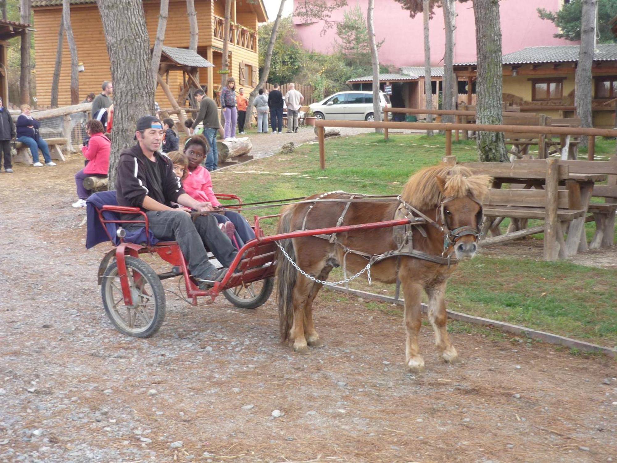 Xalet De Prades Apart otel Dış mekan fotoğraf